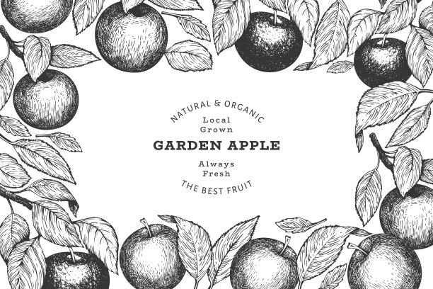 苹果分支设计模板手绘花园图片下载