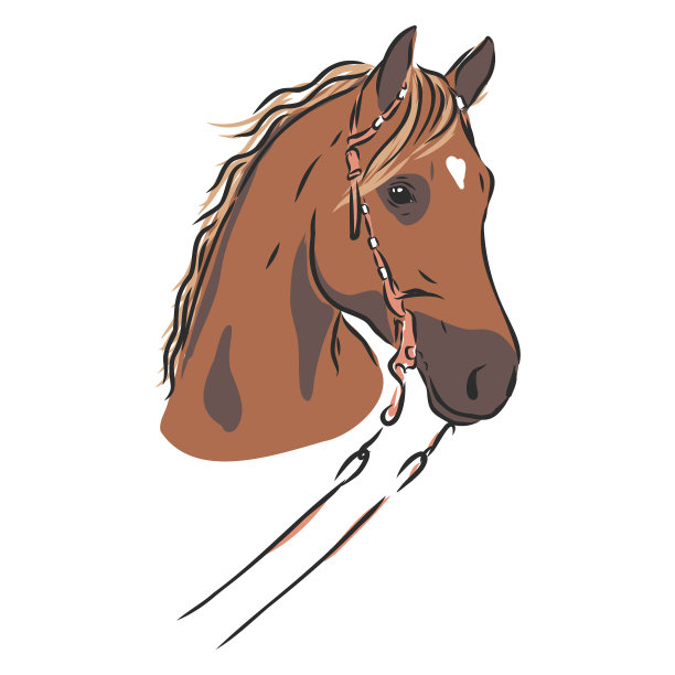 逼真的马肖像马肖像马图片下载