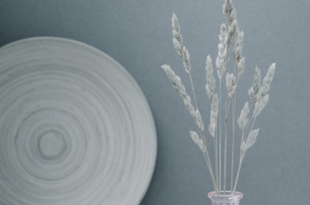 室内极简的灰色背景模拟。美丽的灰色花背景。图片下载