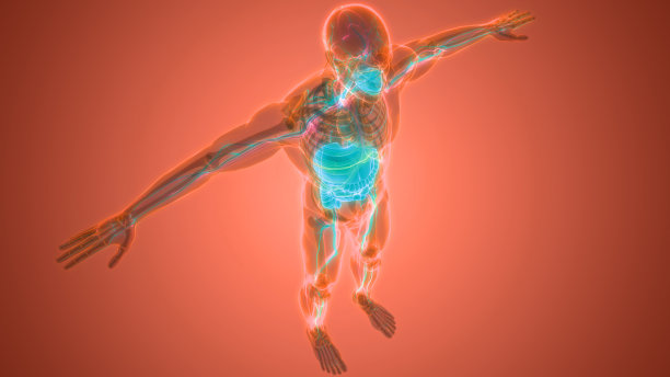 人体消化系统解剖学图片下载