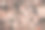 秋天的景色与褐色的树枝上模糊的落叶背景图片下载