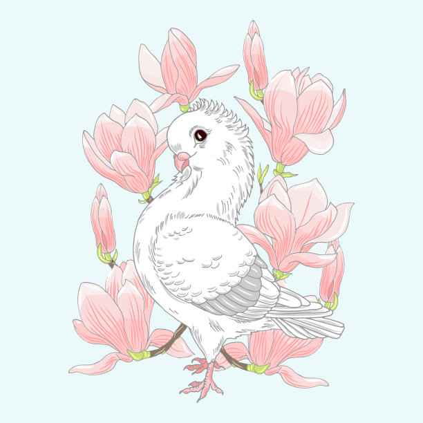 白色的鸽子和粉红色的木兰花图片下载