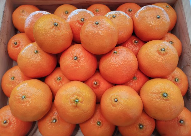 超市里的桔子摊上。图片下载