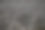 干树纹理作为背景图片下载