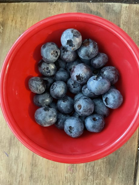 碗蓝莓图片下载