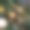 粽子粽子俯视图为端午节上方以黑色为背景。图片下载