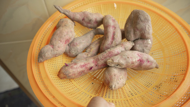 在家里洗之前，拿着一个黄色的塑料盘子，里面放着一些生的红薯图片下载