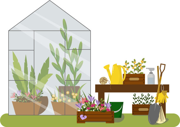 温室园艺工具绿色植物和花卉图片下载