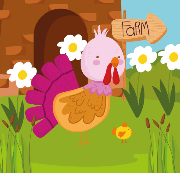 农场可爱的孔雀图片下载