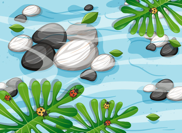 近距离空中森林场景与石头在池塘图片下载