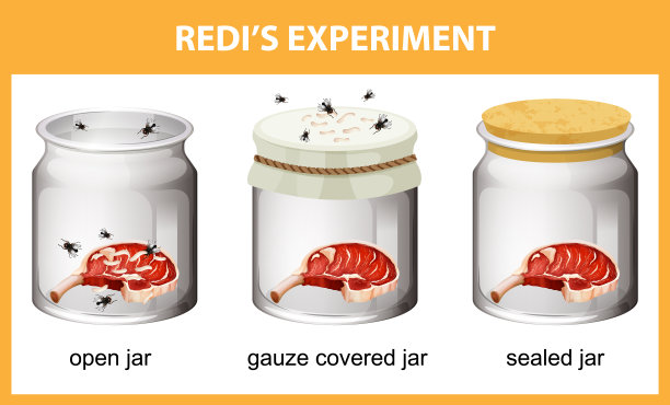 雷迪的教育实验图图片下载