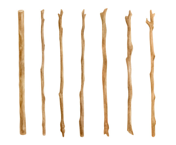 水彩木棒套装。手绘的树枝孤立在白色。光秃秃的树枝装饰，木头树干，质朴自然的设计。图片下载