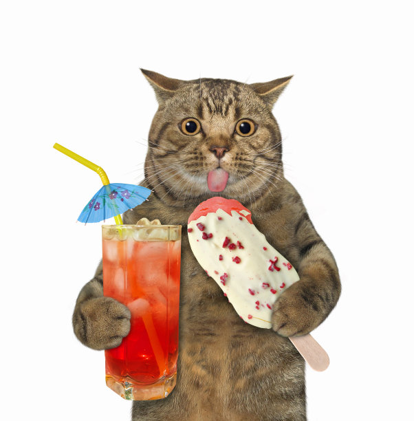 猫拿着水果冰棒和果汁图片下载