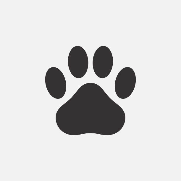 爪印图标。动物的脚印——猫、狗、熊。向量图片下载