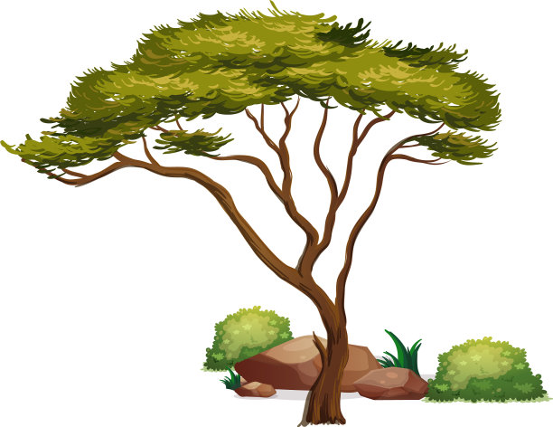 树与岩石和草的设计图片下载