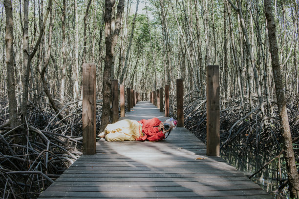 爱好摄影的奶奶躺在木桥上拍照片——照片素材图片下载