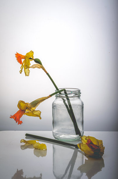 雨后窗外的灯光下晒干的黄花。图片下载