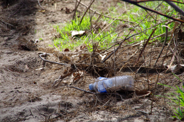 灌木丛里的旧塑料水瓶图片下载