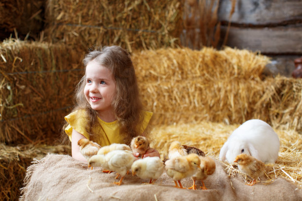 一个小女孩穿着黄色的裙子，用稻草捆做复活节装饰，和一只小白兔和小鸡玩耍图片下载