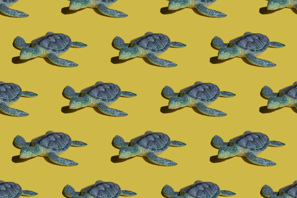 夏季明亮概念-蓝色海龟在黄色的背景。无缝的明亮的模式图片下载