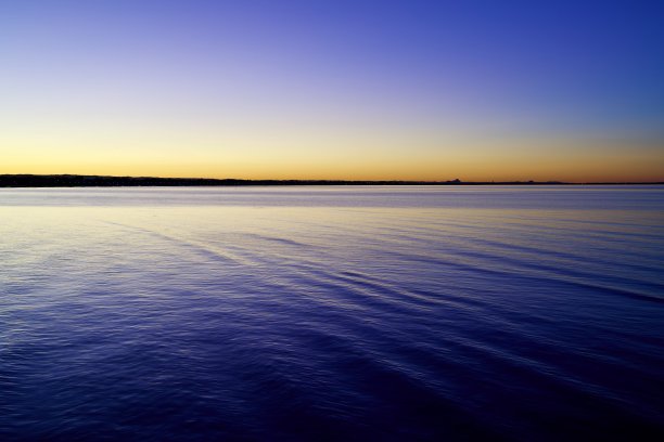 金色和紫色的树莓湾图片下载