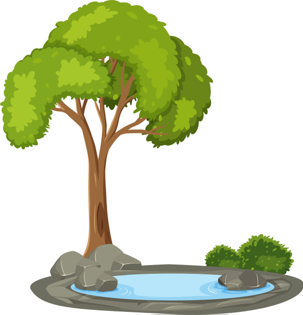 孤立的树在白色的背景图片下载