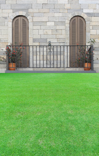 阳台，花盆和绿色草坪图片下载