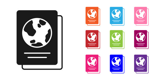 黑色护照与生物特征数据图标隔离在白色背景。身份证明文件。设置图标丰富多彩。向量图片下载