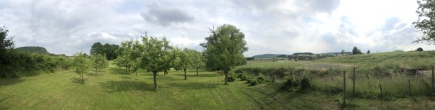 全景绿化景观背景图片下载