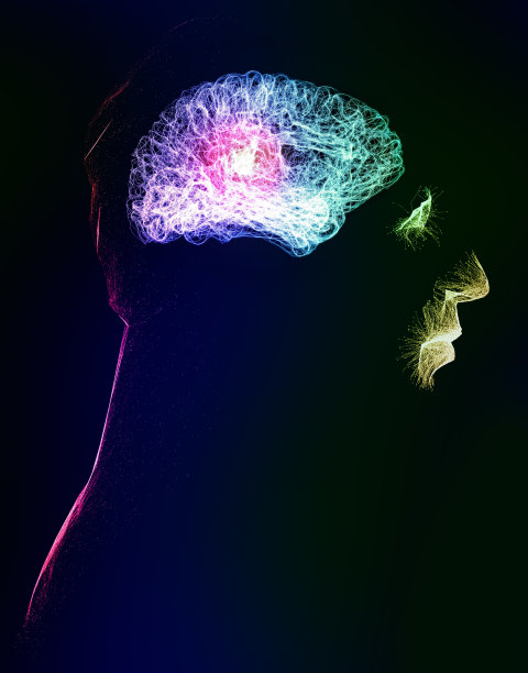 记忆力减退，健忘，退化性疾病。大脑的问题。帕金森和老年痴呆症。心理健康图片下载