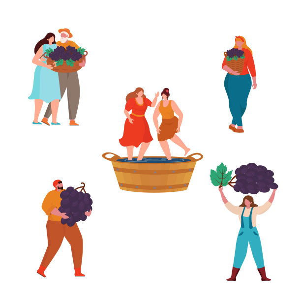 葡萄酒生产的概念。卡通小男女工人人物园艺，收获葡萄园，葡萄酒生产阶段。图片下载