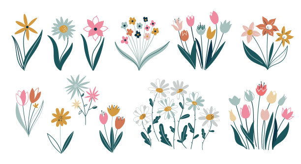 设置不同的花在白色背景图片下载