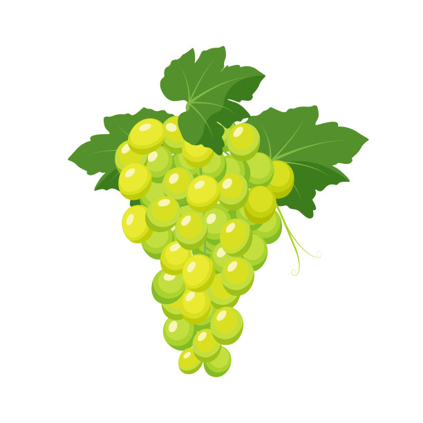 白葡萄串葡萄产品图片下载