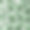 在茂密的丛林中，一种philodendron宽而大的叶子。图片下载