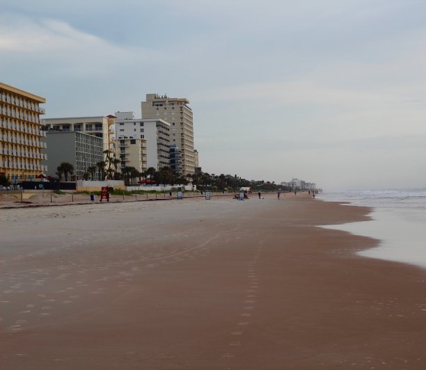 海滩上的早晨图片下载