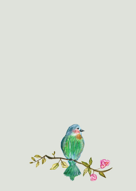 节日贺卡，生日，婚礼用水彩画鸟图片下载