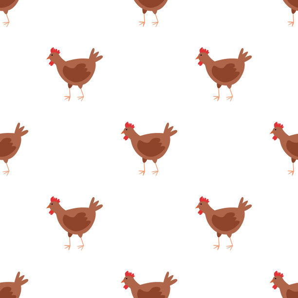 无缝图案与宠物鸟上的白色图片下载