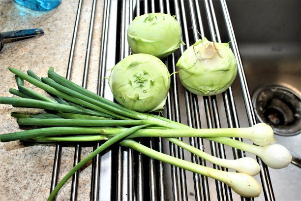 皇家免费照片-刚从花园，大头菜和新鲜的大葱-新鲜的花园美食的网站，博客，或广告的特写-三个大头菜和四个大葱在厨房水槽上干燥架-漂亮的嫩大头菜图片下载
