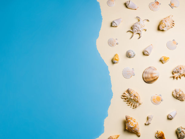 海边的贝壳、蜗牛和螃蟹在明亮的蓝色海水旁边的沙滩上。创意暑假概念与复制空间。平躺，俯视图。图片下载