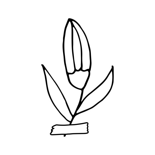 抽象花粘胶带图标。手绘涂鸦。矢量，斯堪的纳维亚，北欧，极简主义，单色。植物、植物标本、剪贴簿。图片下载