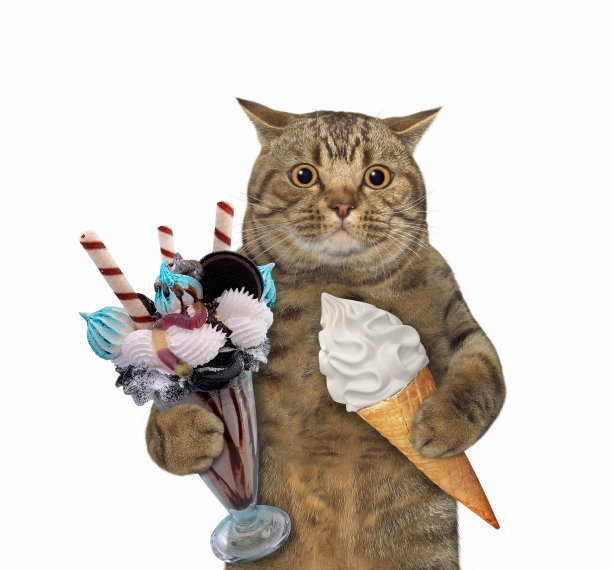 猫拿着一杯冰淇淋和蛋卷图片下载