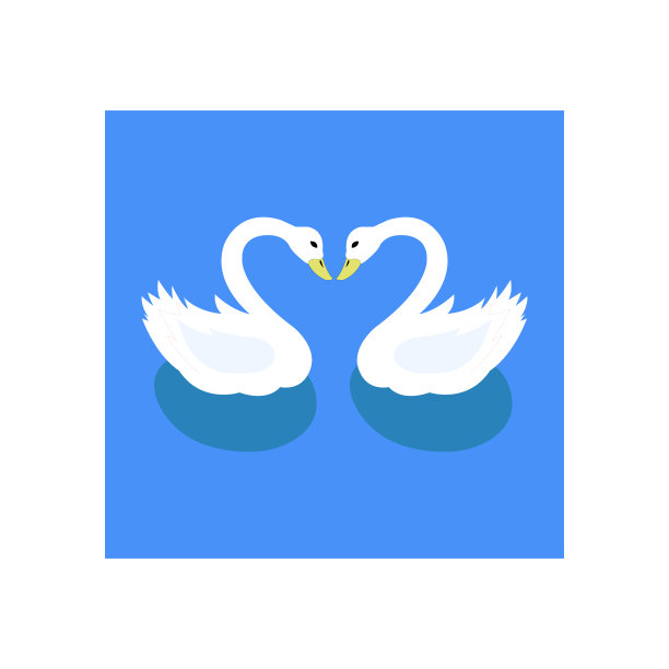 两只相爱的天鹅在清澈的湖面上图片下载