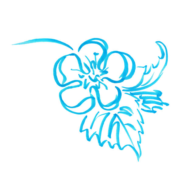 标记亮蓝色的花与叶片手绘线描草莓图片下载