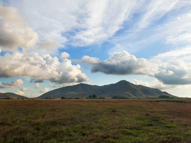 稀树大草原图片下载