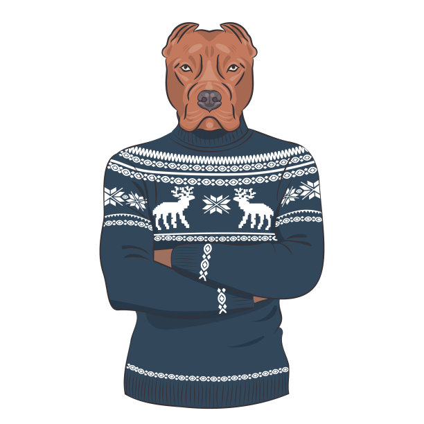 穿着毛衣的严肃狗狗图片下载