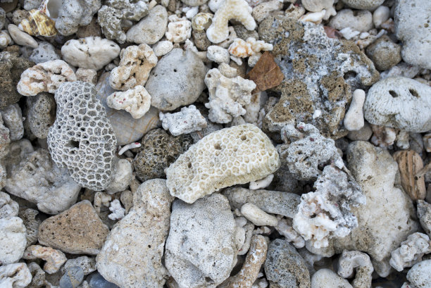 破坏了海岸上的珊瑚礁图片下载