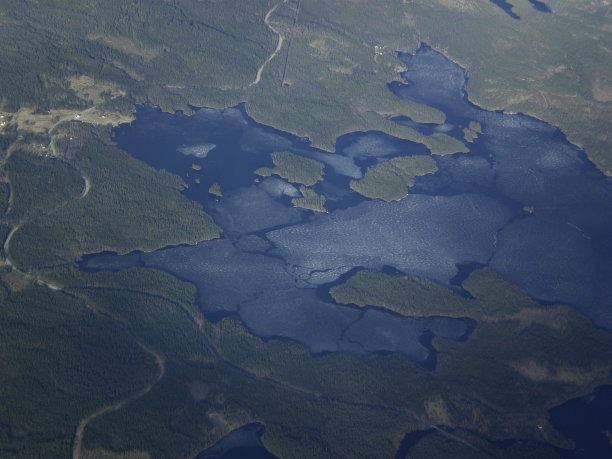 需要看到图片下载