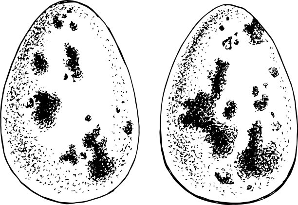 手绘两套复活节彩蛋图片下载