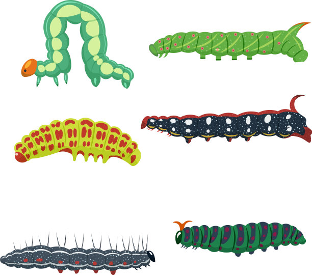 毛毛虫开始孤立起来图片下载