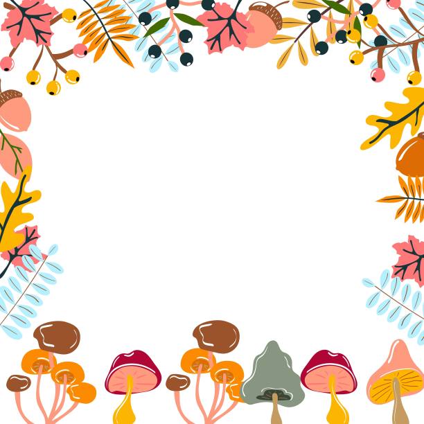 蘑菇和叶子边缘。秋天的边界。图片下载